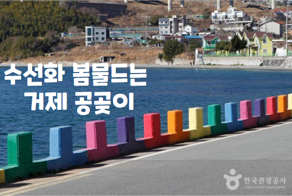 제목